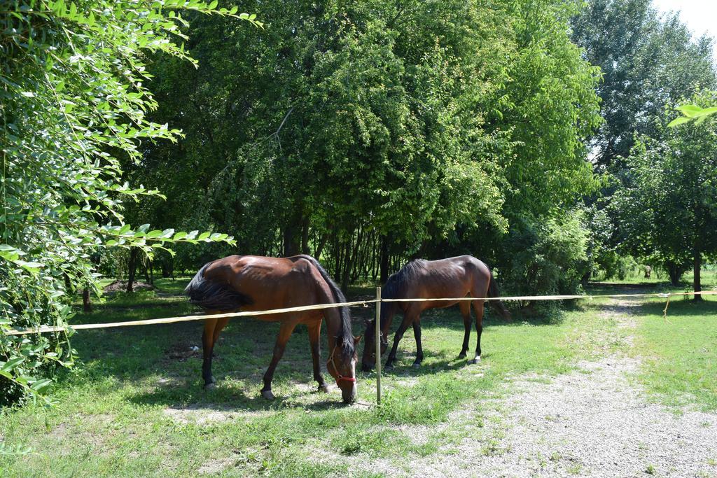 Agriturismo Tre Rondini เลนญาโก ภายนอก รูปภาพ